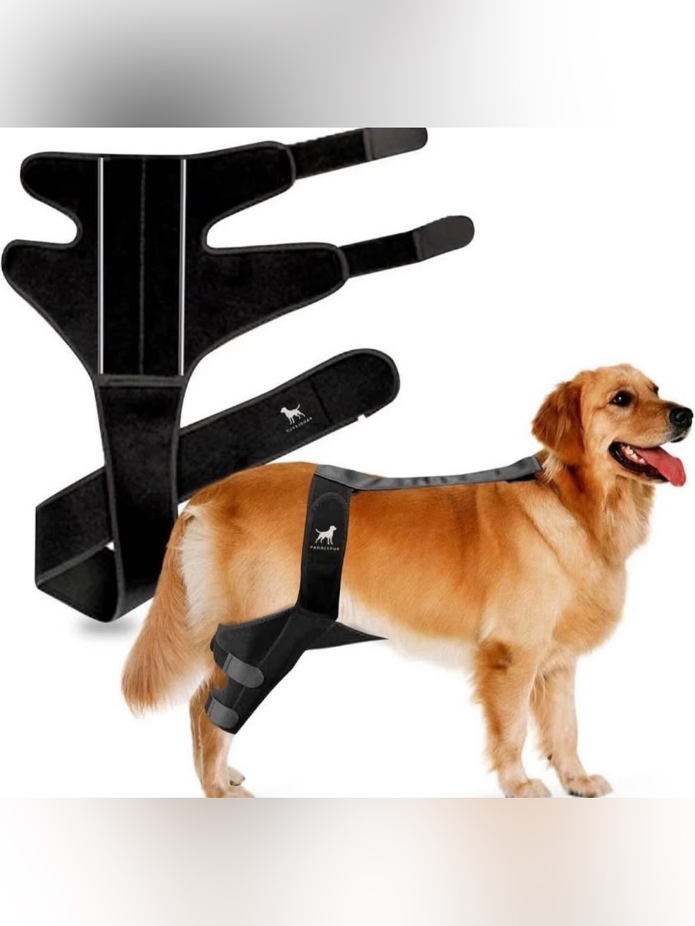 Paddle Pup Dog Knee Brace Reflective for Torn ACL, Knee & Ankle Pain - Size L